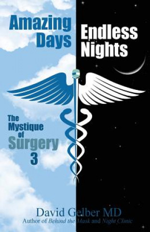 Kniha Amazing Days, Endless Nights David Gelber MD