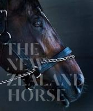 Carte New Zealand Horse 