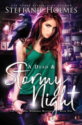 Könyv Dead and Stormy Night Steffanie Holmes