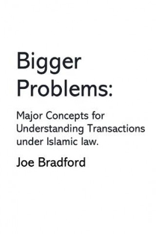 Libro Bigger Problems Joe Bradford