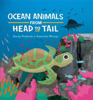 Kniha Ocean Animals from Head to Tail Stacey Roderick