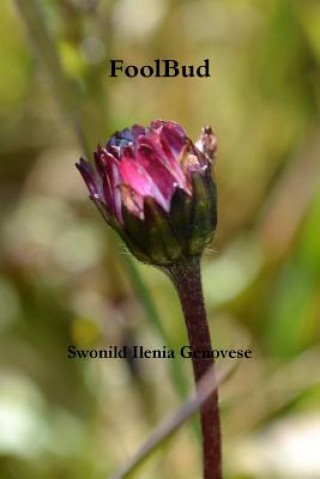Knjiga FoolBud Swonild Ilenia Genovese