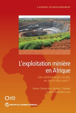 Kniha Mining in Africa (French) Punam Chuhan-Pole