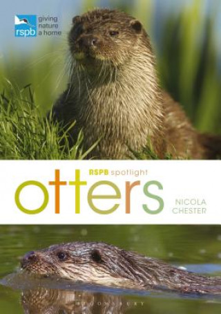 Książka RSPB Spotlight: Otters Nicola Chester