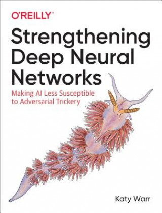 Kniha Strengthening Deep Neural Networks Katy Warr