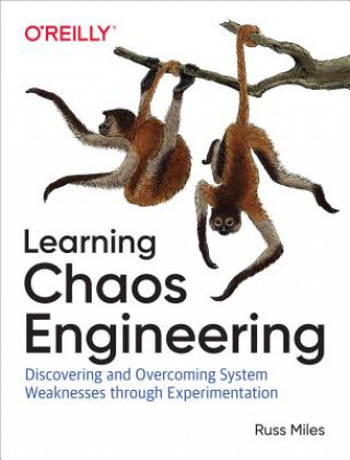 Kniha Learning Chaos Engineering Russ Miles