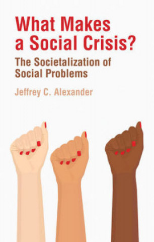 Kniha What Makes a Social Crisis? - The Societalization Of Social Problems Jeffrey C. Alexander