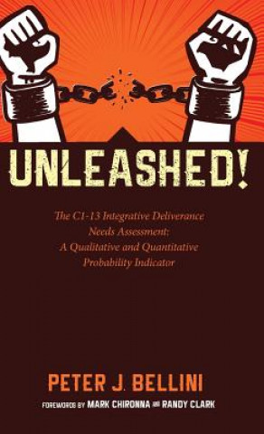 Book Unleashed Peter J Bellini