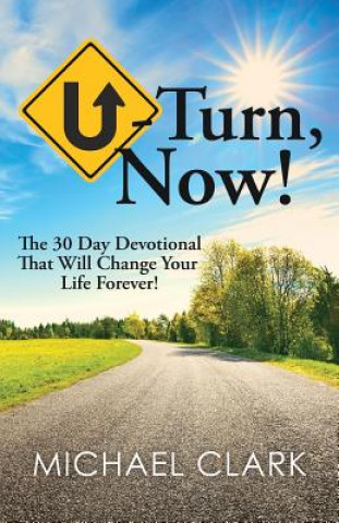 Kniha U-Turn, Now! Michael Clark