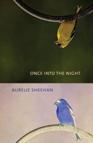 Kniha Once into the Night Aurelie Sheehan