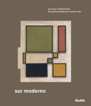 Könyv Sur moderno: Journeys of Abstraction Maria Amalia Garcia