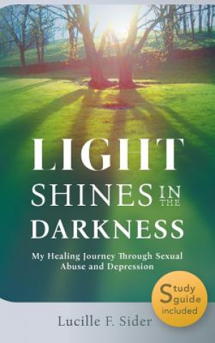 Boek Light Shines in the Darkness, Hardcover Lucille F Sider