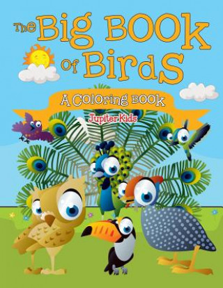 Kniha Big Book of Birds (A Coloring Book) Jupiter Kids