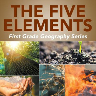 Könyv Five Elements Baby Professor