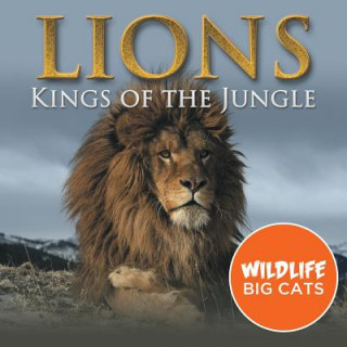 Livro Lions Baby Professor
