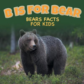 Könyv B is for Bear Baby Professor