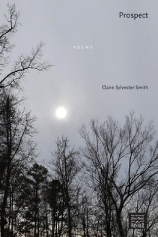 Knjiga Prospect Claire Sylvester Smith