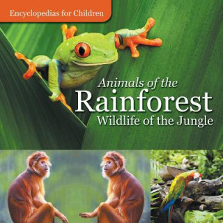 Kniha Animals of the Rainforest Wildlife of the Jungle Encyclopedias for Children Baby Professor