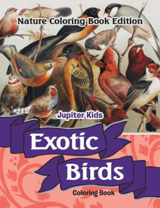 Book Exotic Birds Coloring Book Jupiter Kids