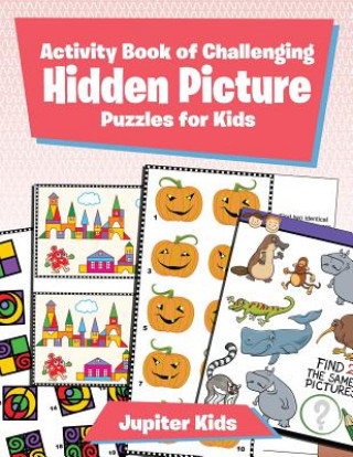 Carte Activity Book of Challenging Hidden Picture Puzzles for Kids Jupiter Kids