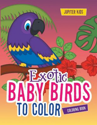 Kniha Exotic Baby Birds to Color Coloring Book Jupiter Kids