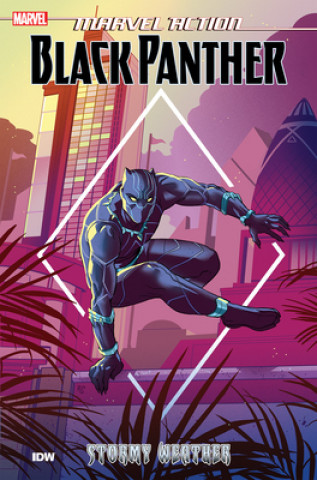 Livro Marvel Action: Black Panther: Stormy Weather (Book One) Kyle Baker