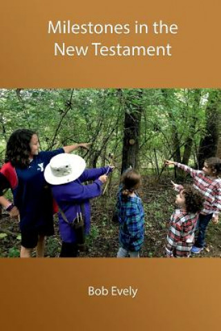 Buch Milestones in the New Testament Bob Evely