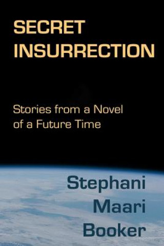 Boek Secret Insurrection Stephani Maari Booker