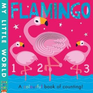 Knjiga Flamingo Patricia Hegarty