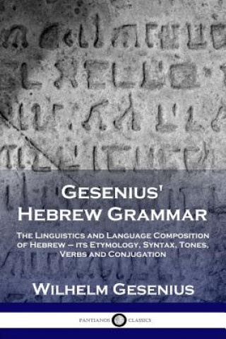 Kniha Gesenius' Hebrew Grammar Wilhelm Gesenius