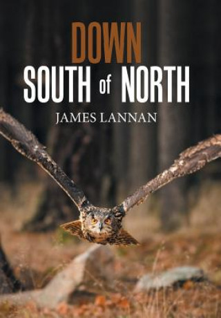Kniha Down South of North James Lannan