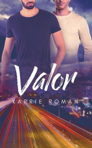 Buch Valor Karrie Roman