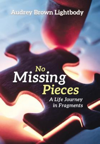 Knjiga No Missing Pieces Audrey Brown Lightbody