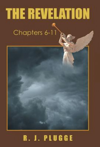 Buch Revelation R J Plugge