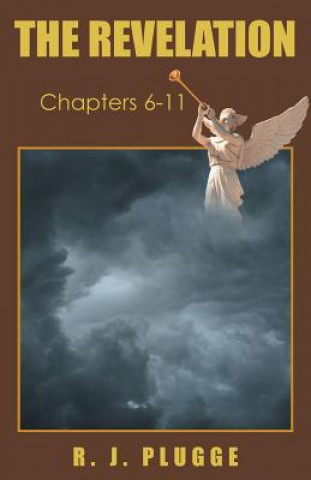 Buch Revelation R J Plugge