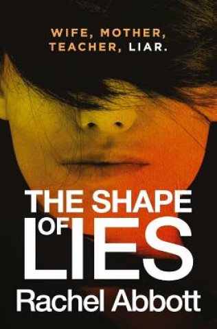 Kniha Shape of Lies Rachel Abbott