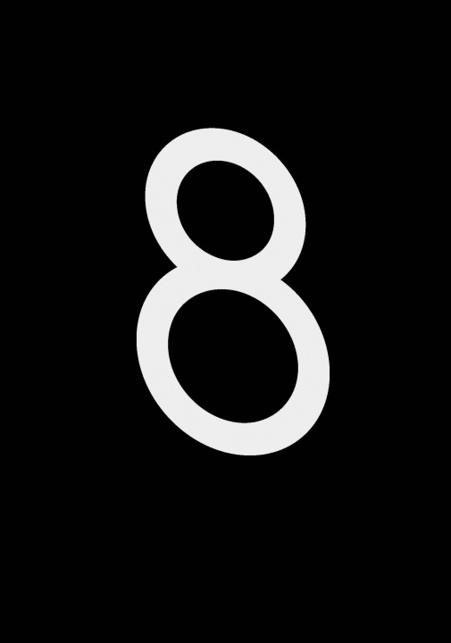 Livro 8 Marguerite Bornhauser