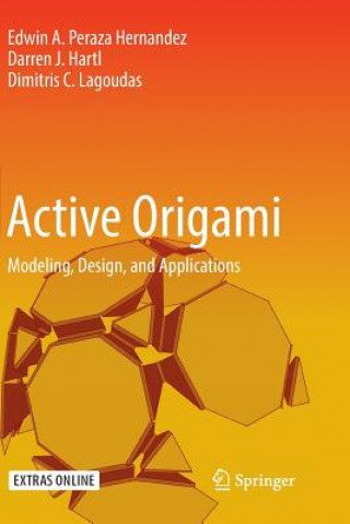 Book Active Origami Edwin A Peraza Hernandez