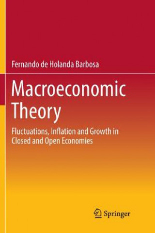 Kniha Macroeconomic Theory Fernando De Holanda Barbosa