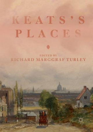 Buch Keats's Places Richard Marggraf Turley