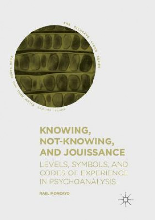 Könyv Knowing, Not-Knowing, and Jouissance Raul Moncayo