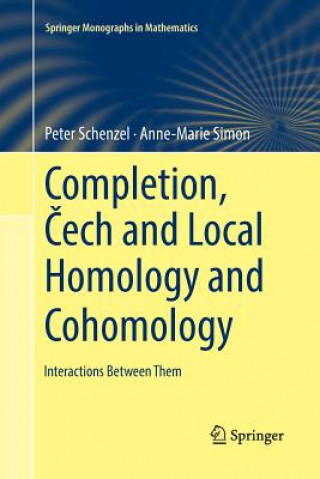Carte Completion, Cech and Local Homology and Cohomology Peter Schenzel