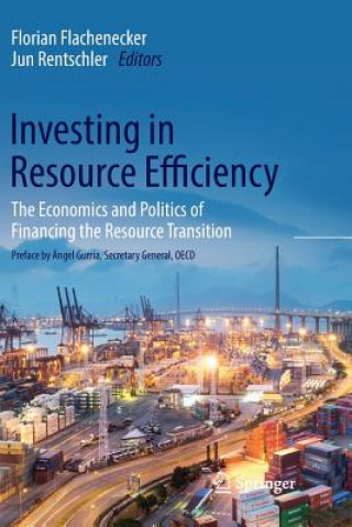 Kniha Investing in Resource Efficiency FLORIA FLACHENECKER