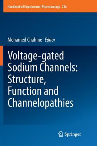 Kniha Voltage-gated Sodium Channels: Structure, Function and Channelopathies Mohamed Chahine