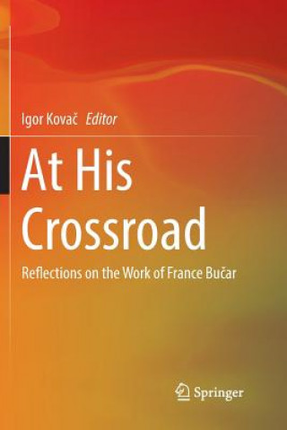 Kniha At His Crossroad Igor Kovac