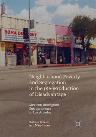 Könyv Neighborhood Poverty and Segregation in the (Re-)Production of Disadvantage Associate Professor Dolores (Occidental College) Trevizo
