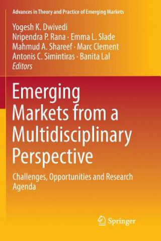 Buch Emerging Markets from a Multidisciplinary Perspective Marc Clement