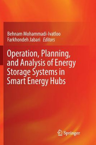 Könyv Operation, Planning, and Analysis of Energy Storage Systems in Smart Energy Hubs Farkhondeh Jabari