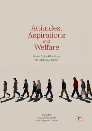 Buch Attitudes, Aspirations and Welfare Benjamin Leruth