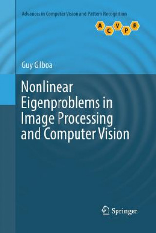 Book Nonlinear Eigenproblems in Image Processing and Computer Vision Guy Gilboa